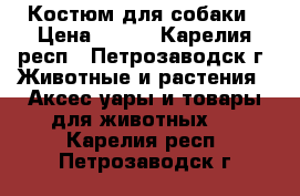 Костюм для собаки › Цена ­ 700 - Карелия респ., Петрозаводск г. Животные и растения » Аксесcуары и товары для животных   . Карелия респ.,Петрозаводск г.